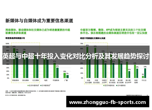 英超与中超十年投入变化对比分析及其发展趋势探讨