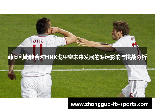 菲奥利奇转会对HNK戈里察未来发展的深远影响与挑战分析